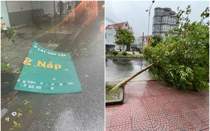Tâm bão đổ bộ Quảng Ninh: Cây cối bật gốc, mái tôn và biển hiệu bay đầy đường Ảnh 2