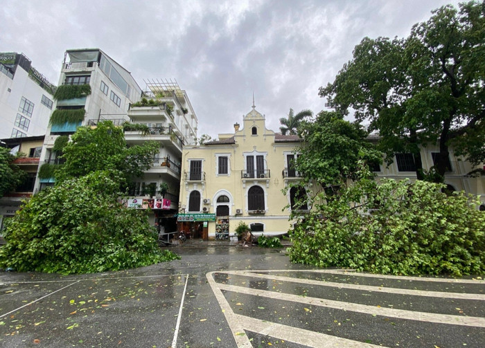 Cây gãy đổ, nằm la liệt khắp các tuyến phố.