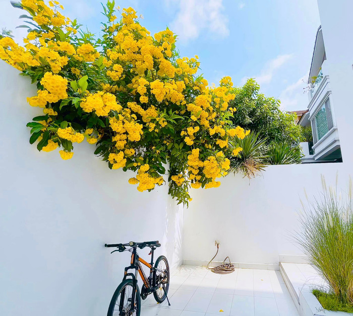 Một góc trong biệt thự của Thủy Tiên.