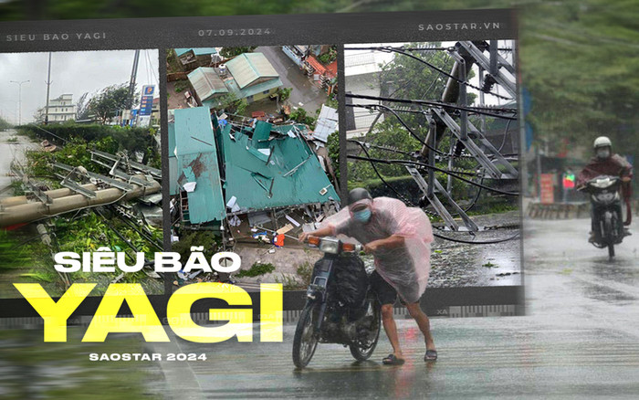 Khi cơn bão đi qua! Ảnh 2