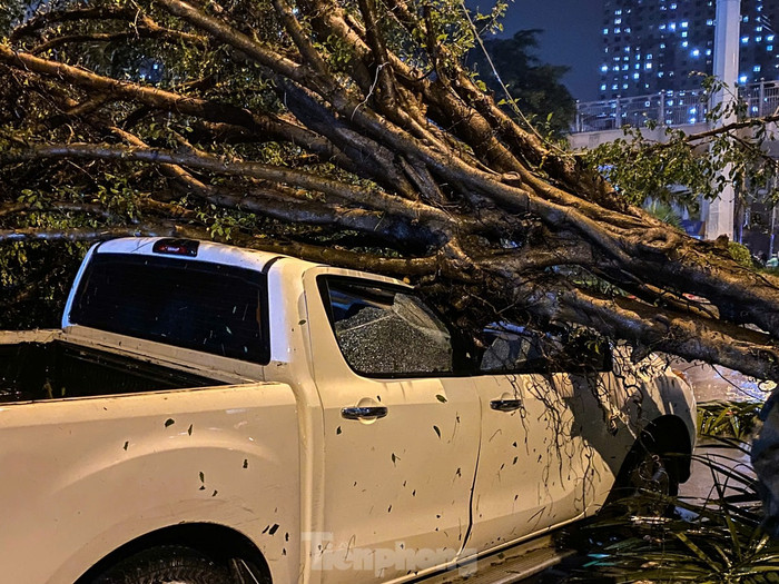 Một chiếc ôtô đang đậu trên phố Phúc La (quận Hà Đông) đã không may bị cây xanh đổ trúng trong cơn bão.