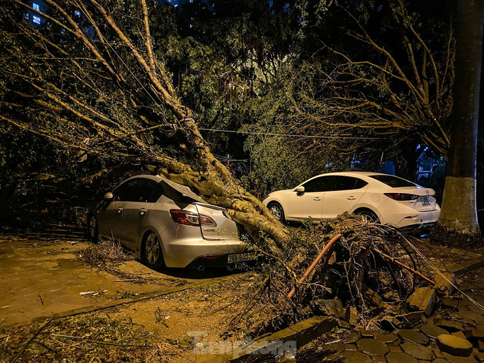 Cách đó không xa, một chiếc ô tô khác cũng trong tình trạng tương tự.