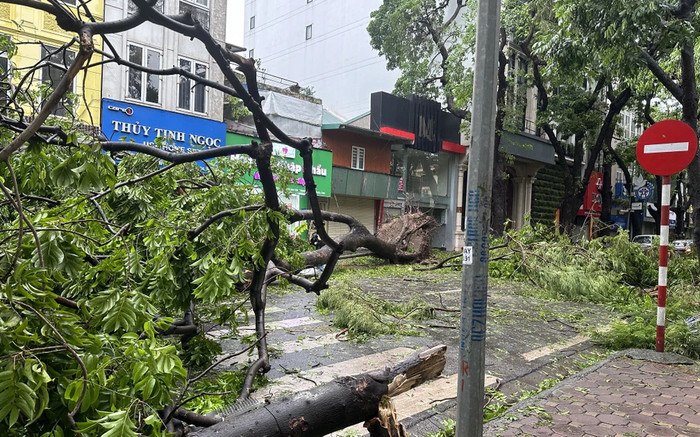 Con đường 'đẹp nhất Thủ đô' cây đổ la liệt, tan hoang sau siêu bão Yagi Ảnh 2