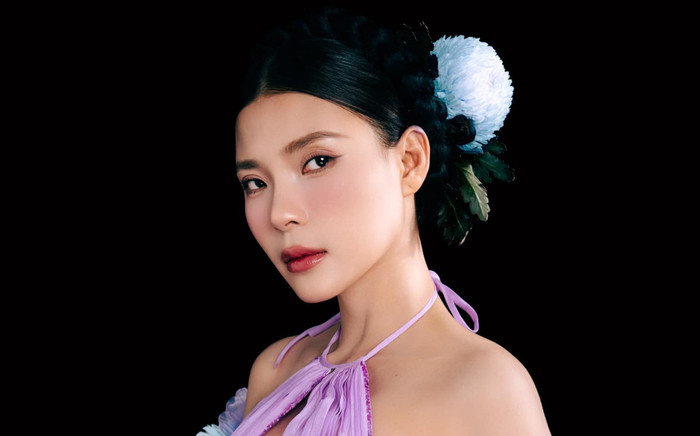 Thúy Diễm đối đầu Hoài Linh - Quyền Linh Ảnh 2