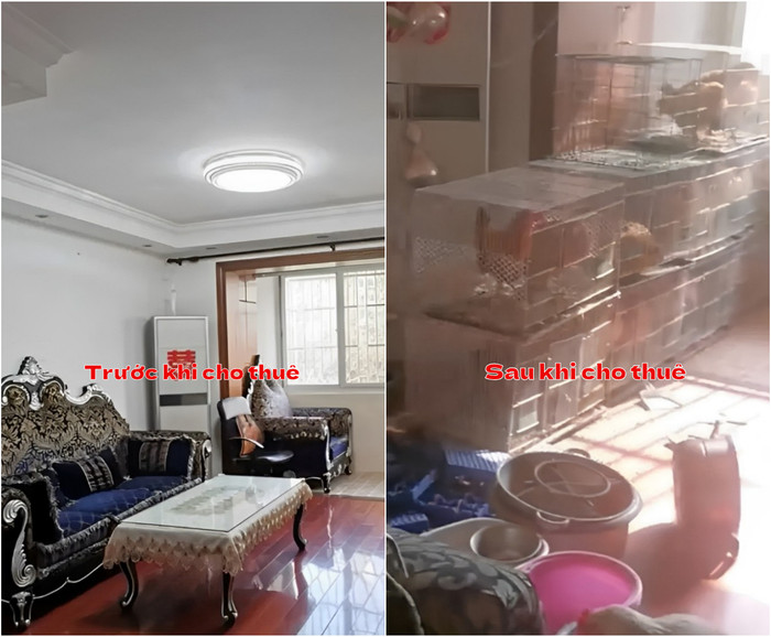 Căn phòng khách trước và sau khi cho thuê.