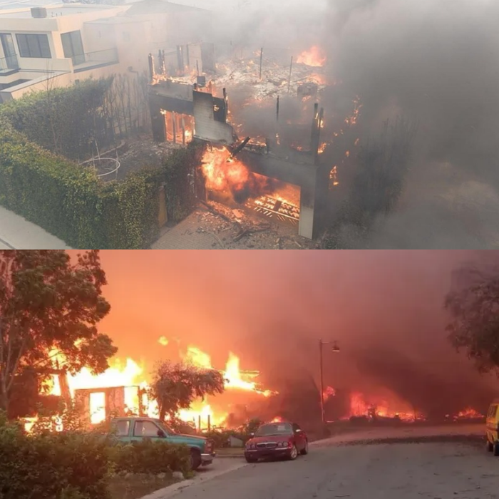 Vụ cháy rừng gần như tàn phá Los Angeles.