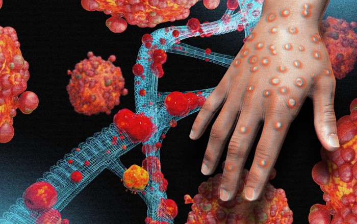 Trung Quốc phát hiện nguồn lây nhiễm biến thể mới của đậu mùa khỉ Ảnh 2