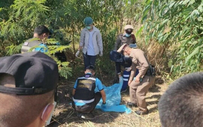Đi bắt chuột đồng, người đàn ông bàng hoàng phát hiện thứ được chôn vùi dưới đất Ảnh 2