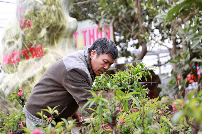 Nghệ nhân Lê Hàm 