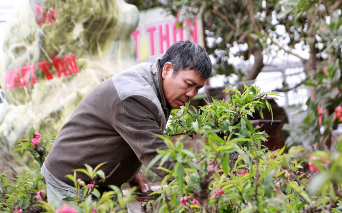 Năm mới nghe nghệ nhân làng Nhật Tân kể chuyện chăm 'đào tiến vua' Ảnh 2