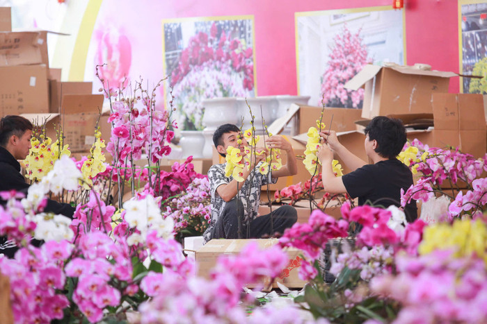 Lan hồ điệp tràn ngập phố Hà Nội dịp cận Tết, có chậu dát vàng gần 4 tỷ đồng Ảnh 6