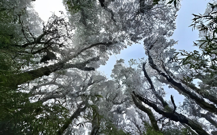 Miền Bắc chìm trong rét hại, ghi nhận băng giá trên núi cao Ảnh 2