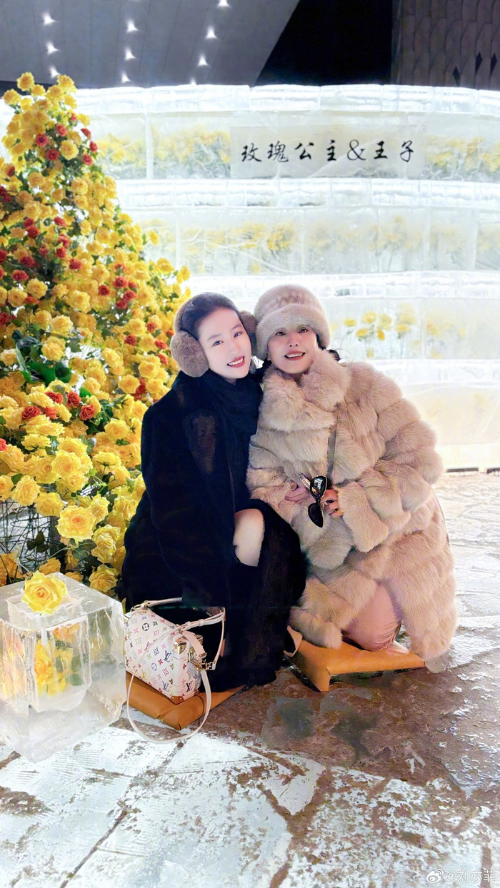 Lưu Diệc Phi đăng ảnh đi chơi cùng mẹ, check in bức tường hoa hồng vàng nổi tiếng.