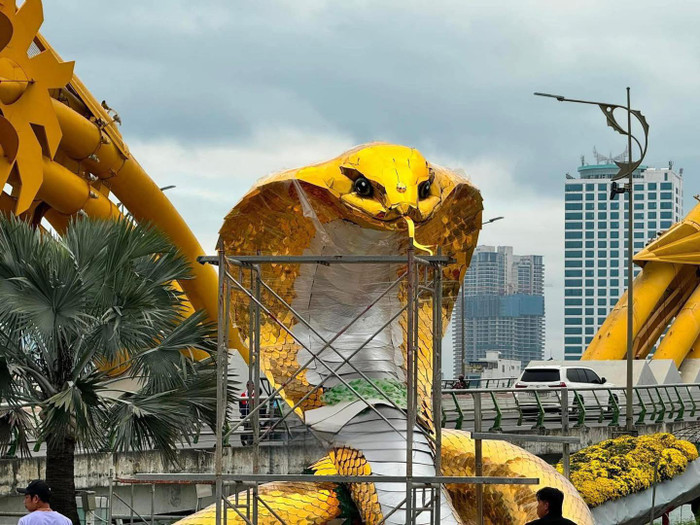 Linh vật năm 2025 của TP Đà Nẵng chính thức lộ diện 