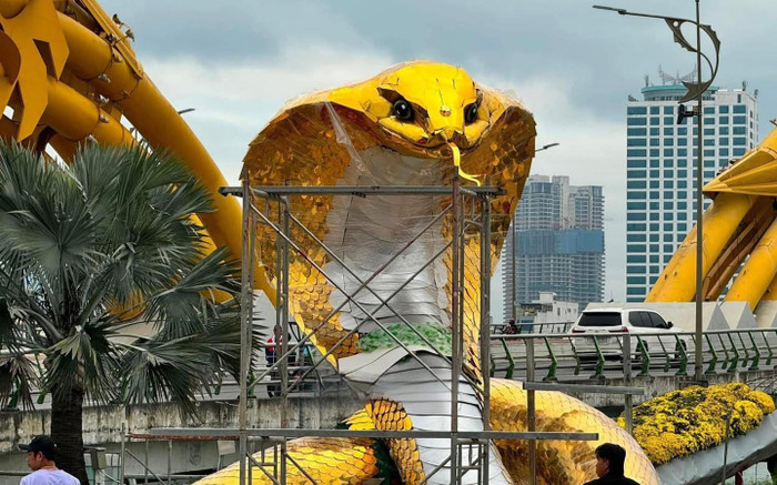 Linh vật rắn của Đà Nẵng lộ diện: Uy nghiêm và hoành tráng khiến ai cũng xuýt xoa Ảnh 2