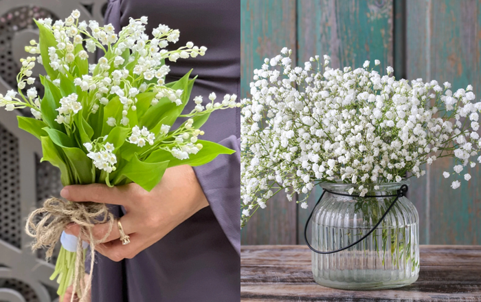 Hoa linh lan và sao trắng Nhật Bản là hai trong những loài hoa đắt nhất thế giới được sử dụng làm hoa cưới.