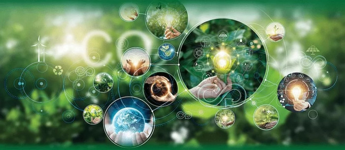 Việc làm xanh – xu hướng trong nền kinh tế bền vững. (Nguồn: vneconomy) 