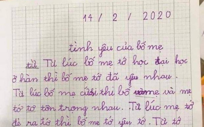 Bài văn tả tình yêu của bố mẹ khiến dân mạng cười ngất, phụ huynh lại rơi vào trầm tư Ảnh 2