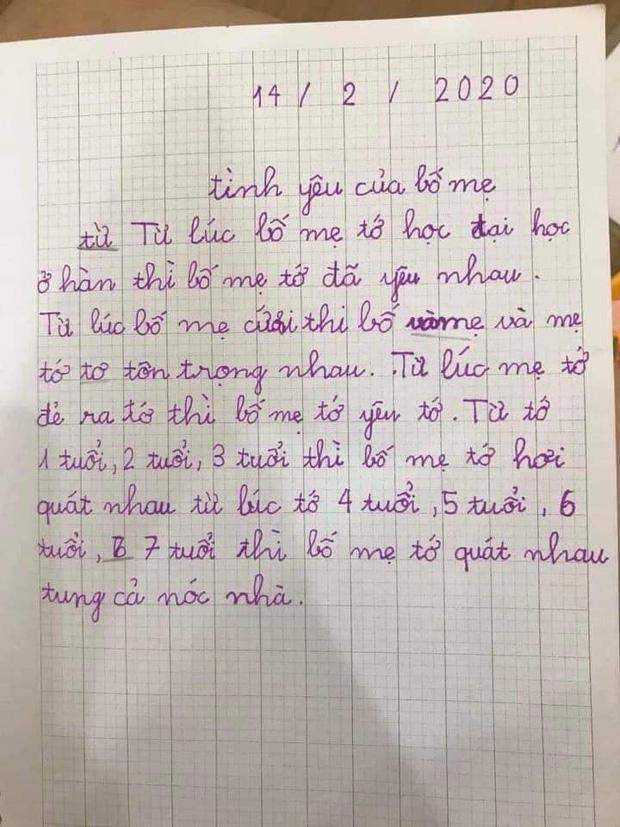 Bài văn tả tình yêu của bố mẹ gây sốt cộng đồng mạng 