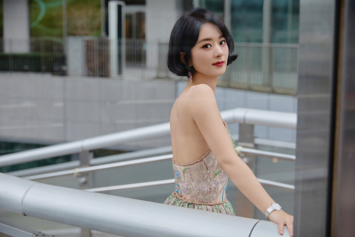 Từng có thời gian Triệu Lệ Dĩnh bị người ta yêu cầu giải nghệ.