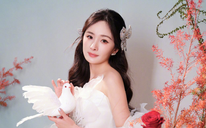 3 lần bị đóng băng sự nghiệp nhưng Dương Mịch vẫn bình an vô sự Ảnh 2