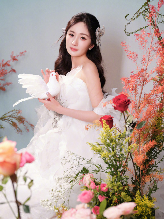 Vì vụ từ thiện, suýt nữa Dương Mịch đã hết đường về showbiz.