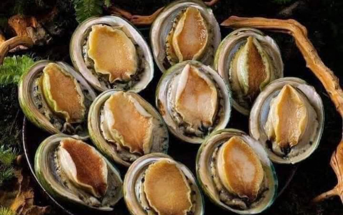 Bào ngư viền xanh Úc - quà biếu sang xịn dịp Tết, giá 2 triệu/kg vẫn đông khách mua Ảnh 2