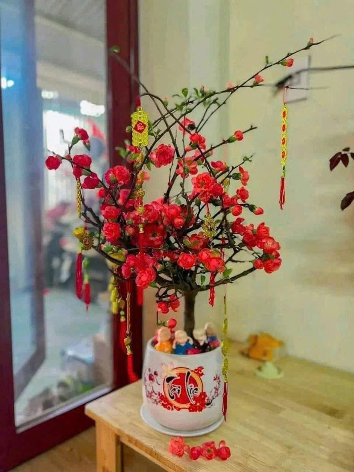 Mai đỏ tượng trưng tài lộc, giá mềm hút khách mua cận Tết Ảnh 1