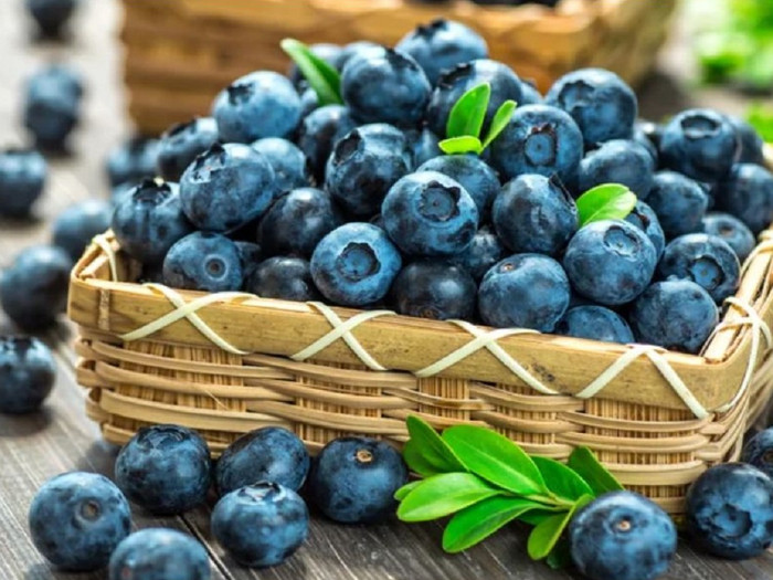 Việt quất rất tốt với những người có nhiều tiền sử bệnh.