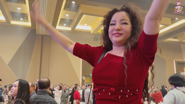 Nữ nghệ sĩ Việt ở nước ngoài: 'Mỹ Tâm đúng là ngôi sao đỉnh cao' Ảnh 2