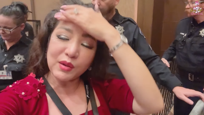 Nữ nghệ sĩ Việt ở nước ngoài: 'Mỹ Tâm đúng là ngôi sao đỉnh cao' Ảnh 4