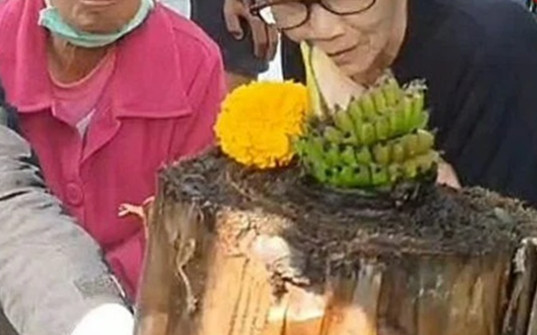 Cây chuối bị đốn bỗng xảy ra hiện tượng lạ, người dân một tỉnh nườm nượp kéo đến xem Ảnh 2