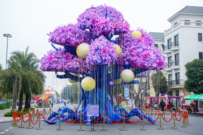 Cây Phù Tang với kích thước lớn, trang trí cực lộng lẫy 