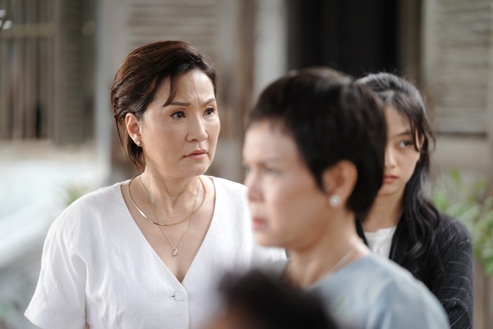 Hồng Đào trở lại sau Chị Dâu, Linh Miêu...