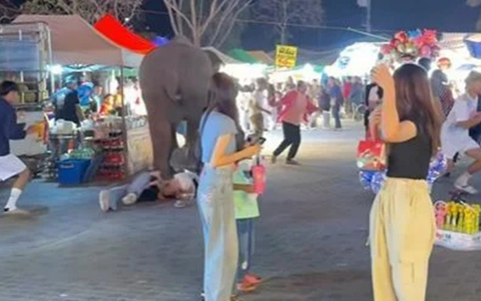 Con voi nổi điên lao vào hội chợ, giẫm đạp khiến nhiều người bị thương Ảnh 2