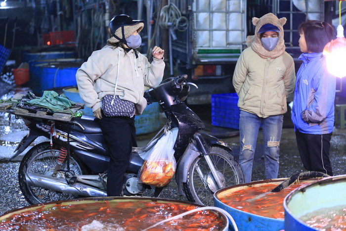 Nhộn nhịp ở khu chợ cá lớn nhất Hà Nội trước ngày ông Công ông Táo Ảnh 6