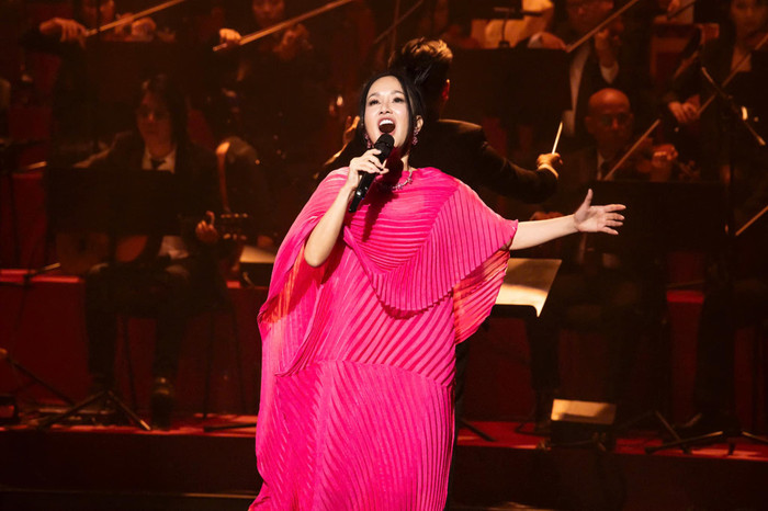 Hồng Nhung biểu diễn trong concert riêng cách đây chưa lâu. Ảnh: FBNV