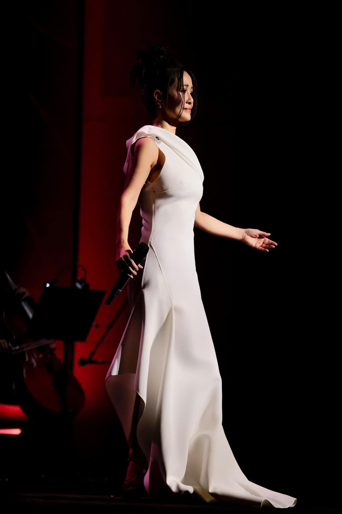 Hồng Nhung là một trong những nữ ca sĩ có kỹ thuật thanh nhạc điêu luyện, chất giọng đẹp. 