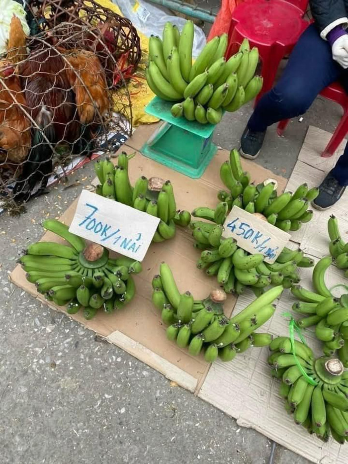 Chuối xanh tăng giá 'đỉnh nóc' cận Tết Ất Tỵ 2025. (Ảnh Bích Thảo)