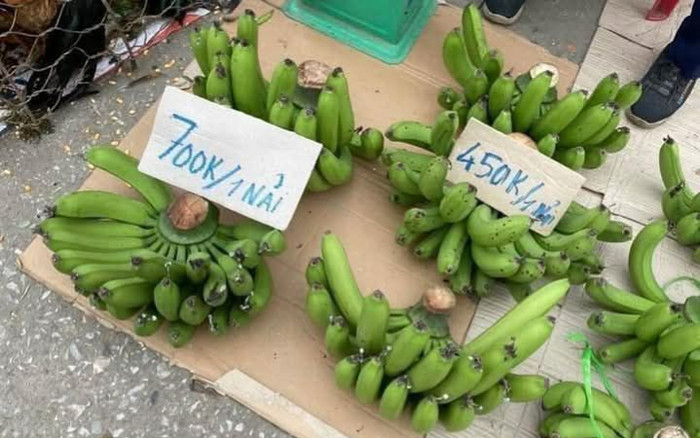 Chuối xanh cận Tết tăng giá 'đỉnh nóc' 500.000 đồng/nải, thương lái lý giải nguyên nhân Ảnh 2