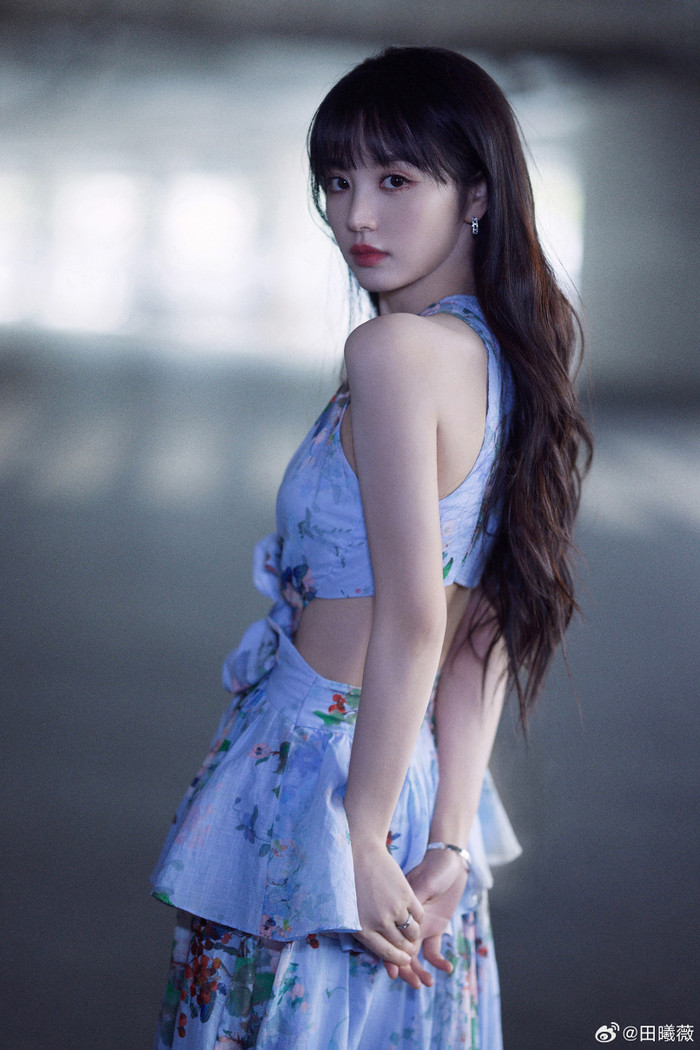 Điền Hi Vi có một năm khá nhạt nhòa.