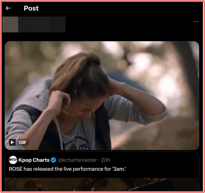 Rosé lại gây tranh cãi Ảnh 3