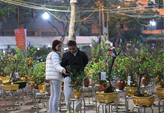 Độc đáo quất dát vàng ở Hà Nội, giá cao ngất vẫn hút khách mua Ảnh 9