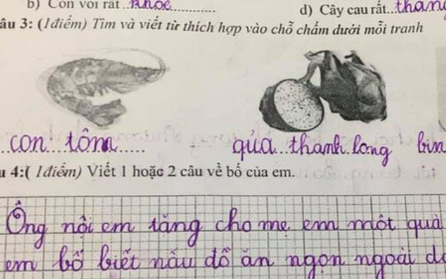 Bài văn 'ông nội tặng cho mẹ em một món quà' gây sốt cộng đồng mạng Ảnh 2