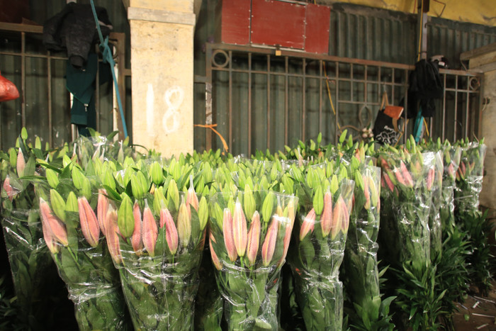 Hoa ly hiện có giá từ 300-800 nghìn đồng/10 cành.