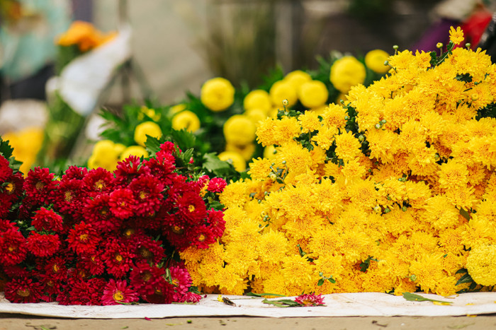 Sắc hoa rực rỡ ngày giáp Tết Ảnh 12