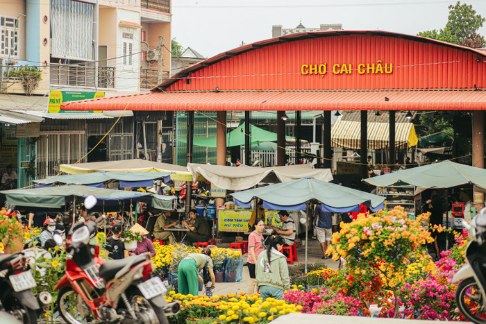 Chợ Cai Châu ở Đồng Tháp những ngày giáp Tết đông đúc và nhộn nhịp hơn bao giờ hết. Cũng dịp này, các tiểu thương đem hoa đến chợ để trao đổi, mua bán khiến khu chợ thêm rực rỡ sắc màu.