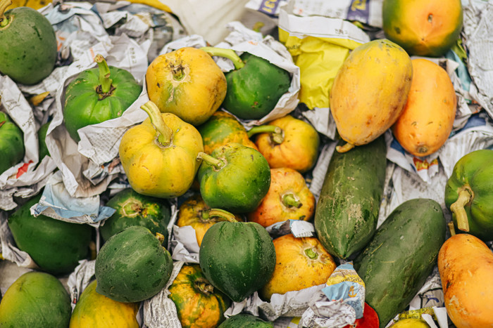 Những quả đu đủ được gói ghém trong tờ báo cũ đậm chất chợ quê.