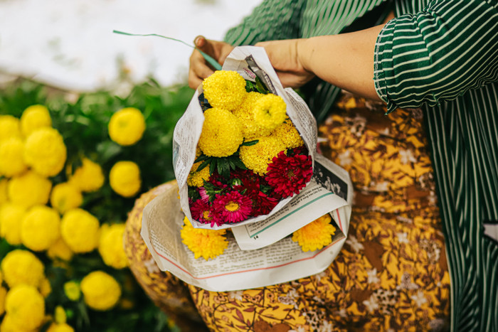 Những bông hoa rực rỡ khiến ai vừa nhìn cũng thấy thích mắt.