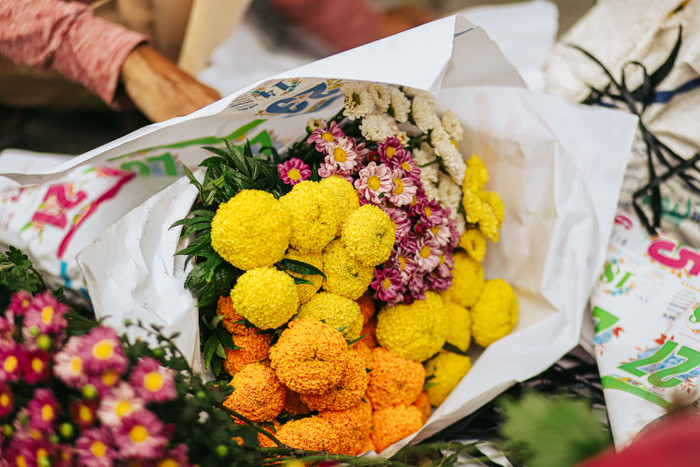 Sắc hoa rực rỡ ngày giáp Tết Ảnh 15